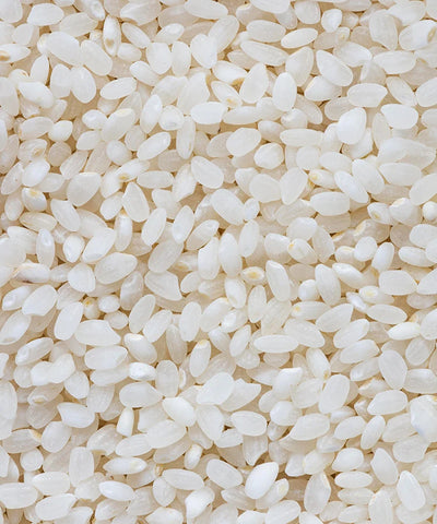 Fermented rice extract